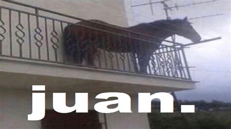 juan caballo memes|juan meme origin.